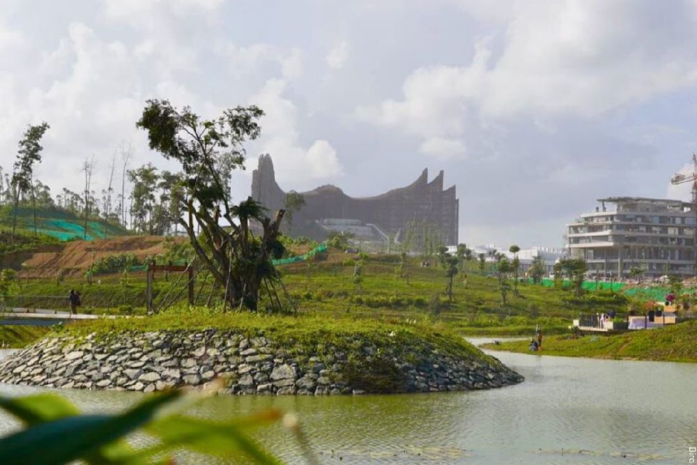 IKN Dijadikan Percontohan Rehabilitasi Mangrove, Target Tanam Capai 1.100 Hektare