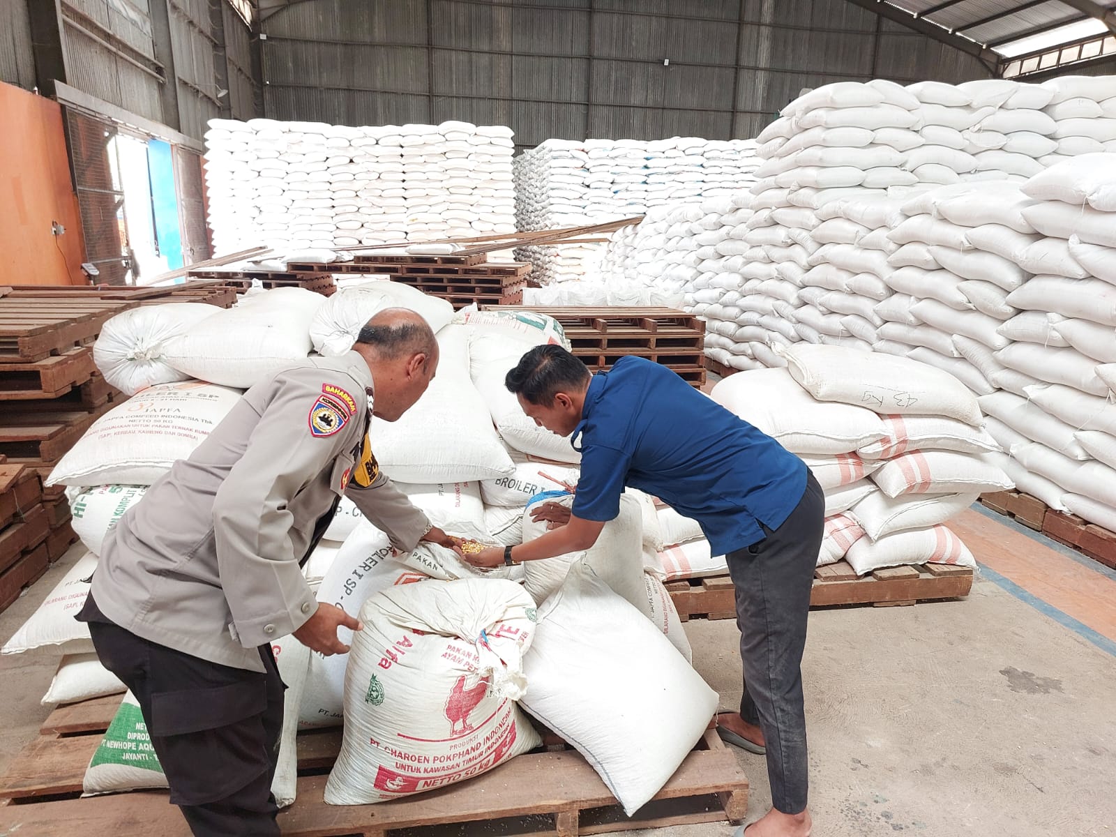 Bulog Kalsel Serap 12,6 Ton Jagung Binaan Polres Banjarbaru, Kadar Air 14 Persen Lolos Standar