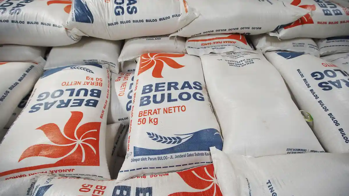 Serapan Beras Petani Tembus 3,5 Juta Ton, Bulog: Stok Pemerintah Tertinggi Sepanjang Sejarah