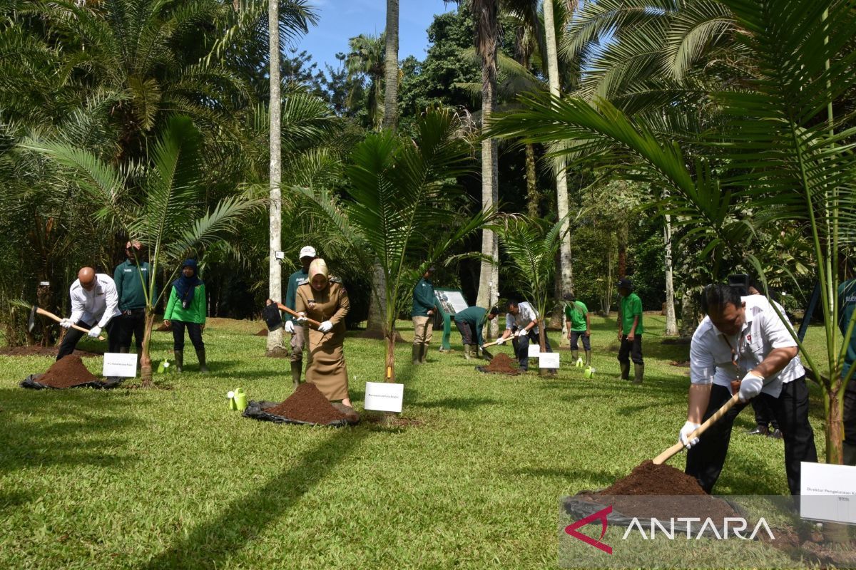6 Wisata Alam di Bogor Ramah Lansia, dari Kebun Raya hingga Kebun Teh Puncak