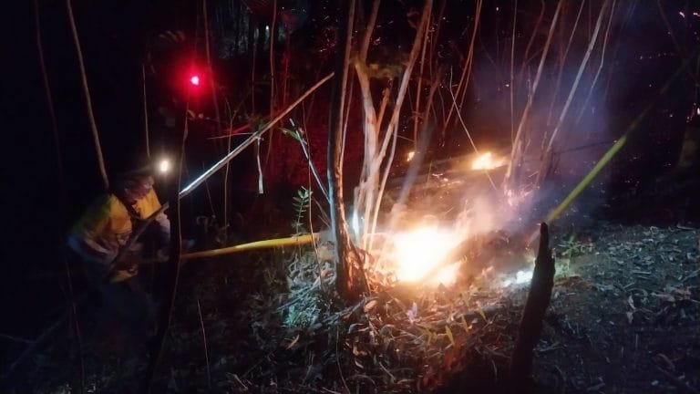 Brigade Dalkarhutla Kalsel Padamkan Api di Tiga Titik Rawan Karhutla, Hutan Lindung Liang Anggang hingga Tiwingan