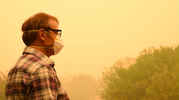 Kepala BNPB Sebut Kualitas Udara Kalteng Aman, Warga Palangka Raya dan Pulang Pisau Diminta Pakai Masker