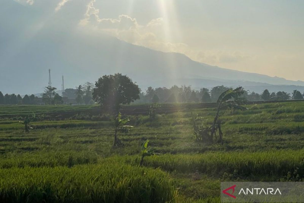 Kabupaten Kuningan Siapkan Oplah Pertanian 725 Hektare untuk 2026, Target 20 Kecamatan