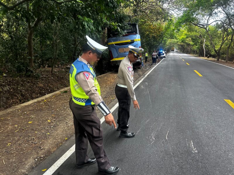 Kecelakaan Maut di Jembrana: Mobil Calya Vs Bus Hino di Gilimanuk, Dua Orang asal Banyuwangi Tewas