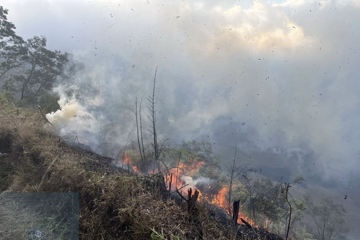 Balai Besar TNBTS Tutup Akses Menuju Savana Bromo, Api Bergerak dari Blok Bantengan