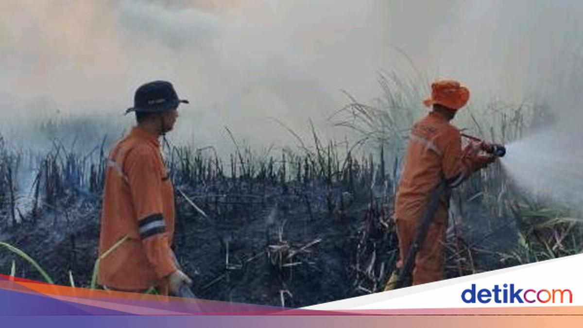 Karhutla di Sumsel Tembus 37 Kejadian dalam Sehari, OKI Jadi Wilayah Terparah dengan 10 Titik