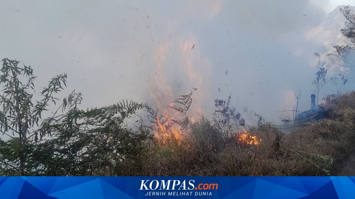 Petugas Gabungan Padamkan Kebakaran Bromo dengan Sekat Bakar dan Gebyok, Ratusan Personel Dikerahkan