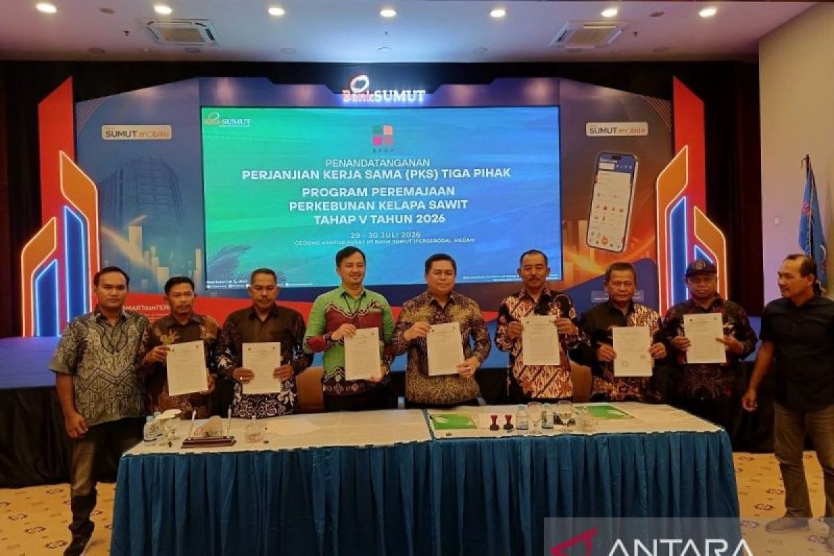 Koperasi Plasma Pertama di Indragiri Hulu Terima Dana Hibah BPDP untuk Peremajaan Sawit Rakyat, 306 Hektare Siap Ditanami Ulang