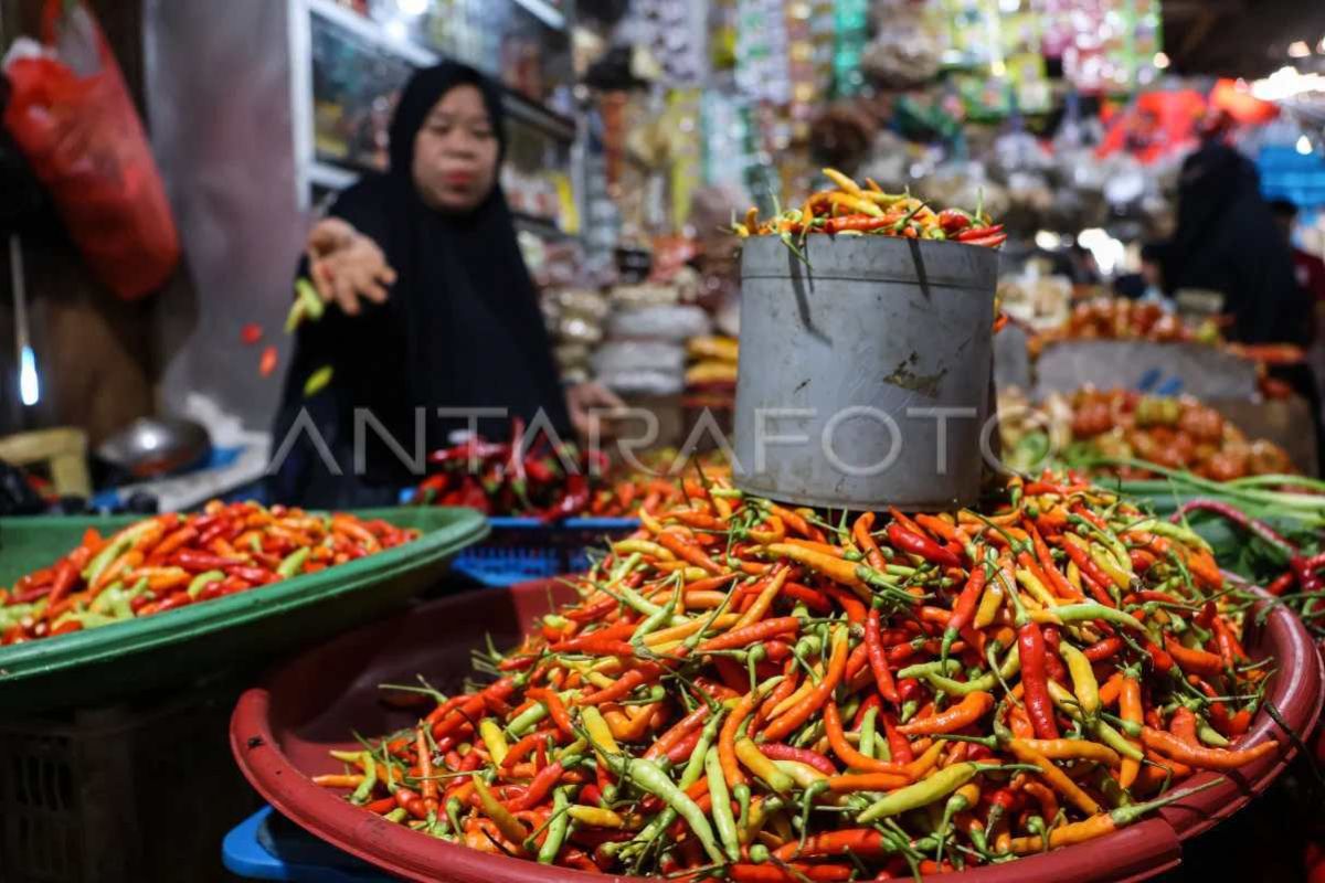 BPS Sulsel Catat Deflasi 0,18 Persen di Juli 2026, Tomat hingga Cabai Rawit Alami Penurunan Harga