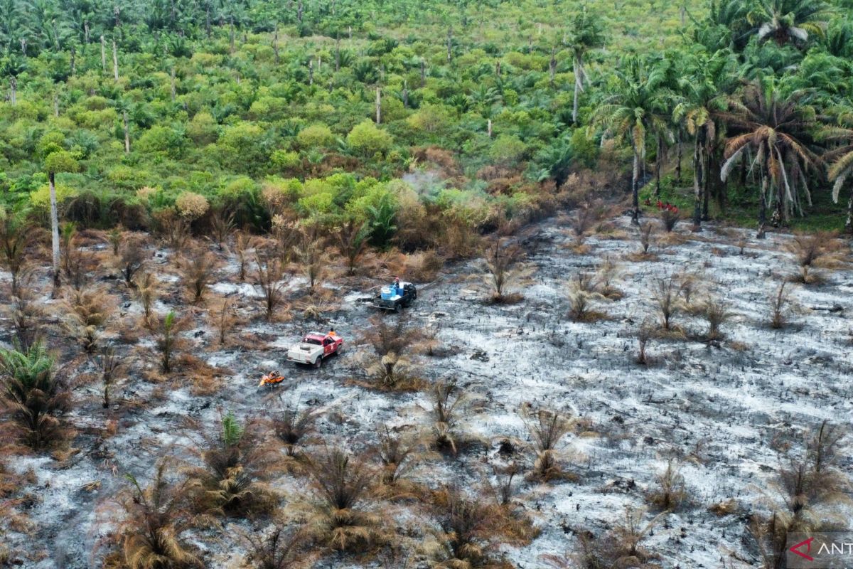 Karhutla di Gelumbang Muara Enim Padam Total, 2 Hektare Lahan Hangus dan 5 Helikopter Water Bombing Dikerahkan