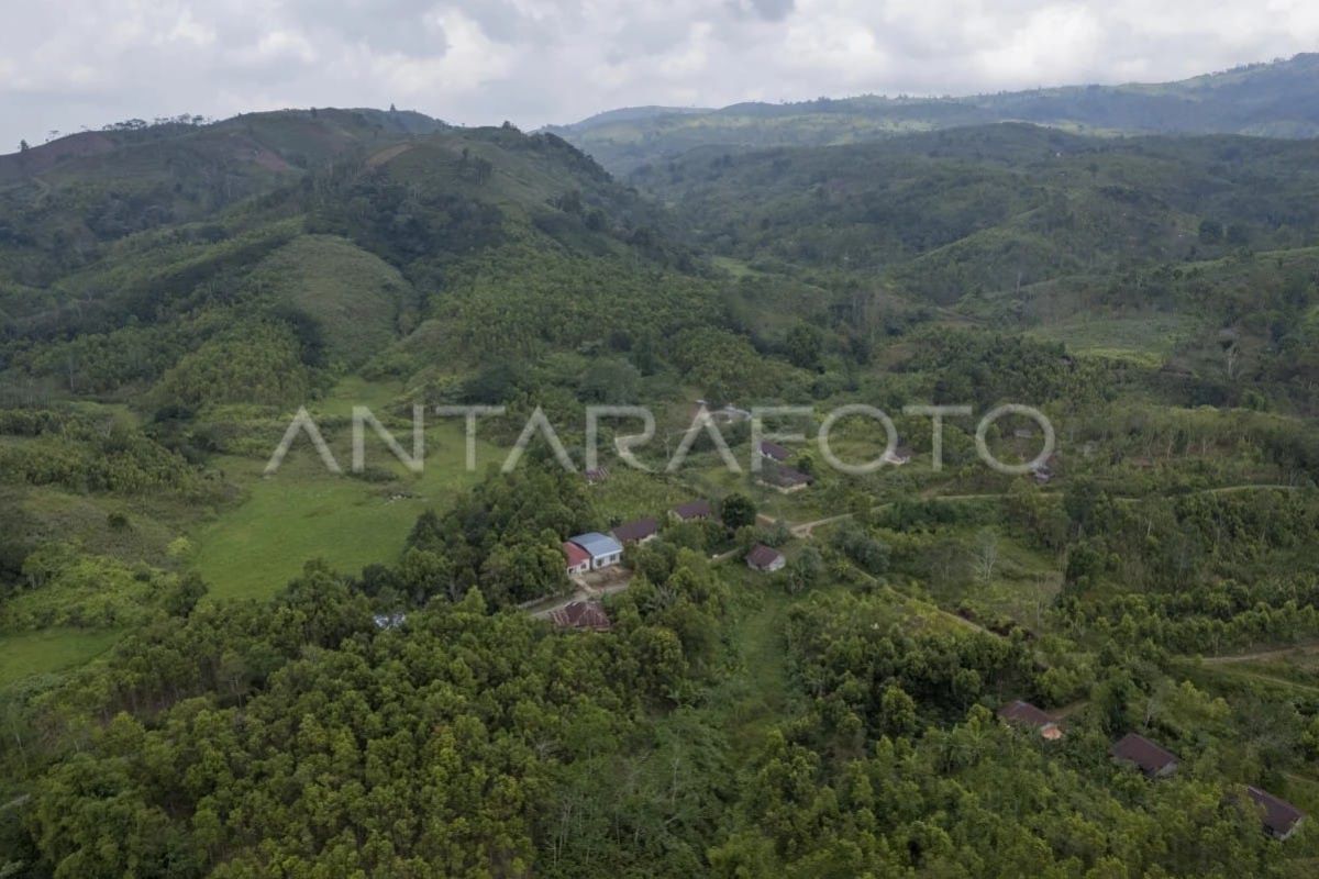 18 KK Transmigran di Kerinci Jambi Belum Nikmati Listrik, Menanti Hak Lahan Usaha II 0,75 Hektare