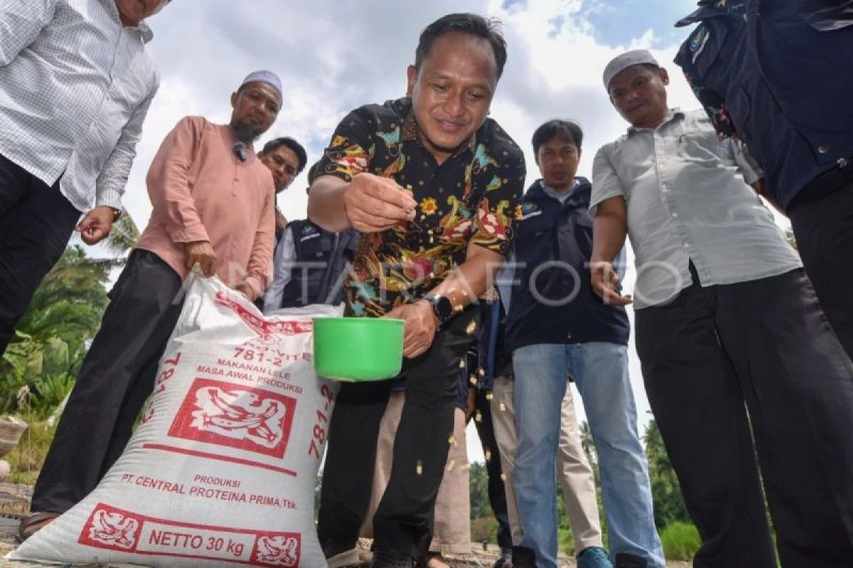 Kementerian KKP Kirim 2 Ekskavator ke Padang Pariaman, Bantuan untuk Nelayan dan Pembudidaya Ikan Terdampak Bencana di Sumbar