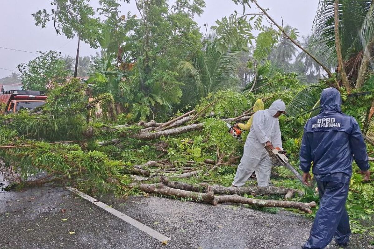 Cuaca Ekstrem di Pariaman, 10 Pohon Tumbang Timpa Rumah Warga dan Mobil di Kawasan Wisata
