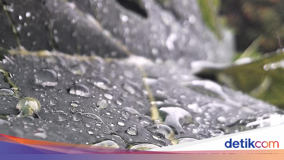 BMKG Sebut 6 Wilayah Jawa Tengah Berpotensi Hujan Ringan Siang Ini, Sragen hingga Jepara