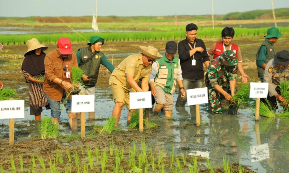 Kepala DPKP Kalsel Syamsir Rahman Apresiasi Petani HSU Tetap Produktif di Musim Kemarau, Target 84 Ribu Ton Padi
