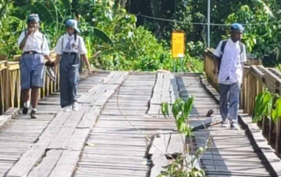 Jembatan Kuning Wandos Penghubung Biak-Supiori Rusak Berat, Pelajar Desak Pemprov Papua Segera Bangun Jembatan Baru
