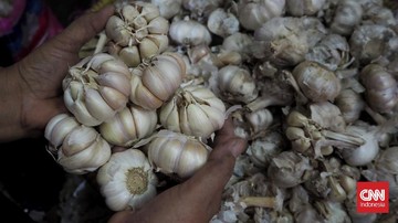 Harga Bawang Putih Tembus Rp 42.005 per Kg dan Meluas ke 248 Daerah, BPS Khawatir Dorong Inflasi
