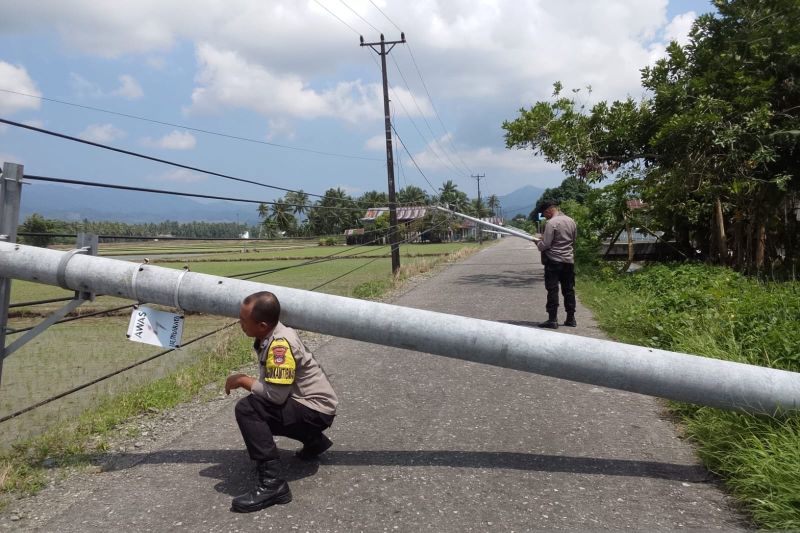 17 Tiang Listrik Roboh di Kasimbar Parigi Moutong Dievakuasi, PLN Pastikan Pasokan Aman