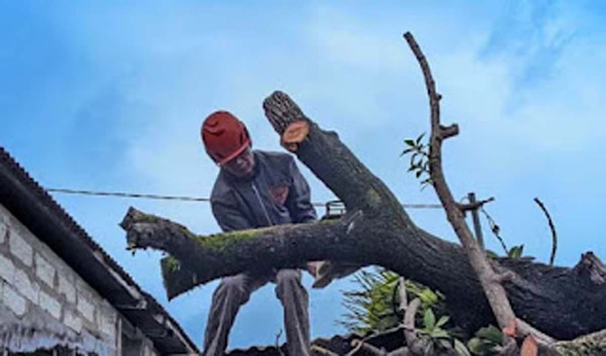 Cuaca Ekstrem Terjang Padang: 74 Titik Banjir, 6 Pohon Tumbang, dan Longsor di Batu Busuk