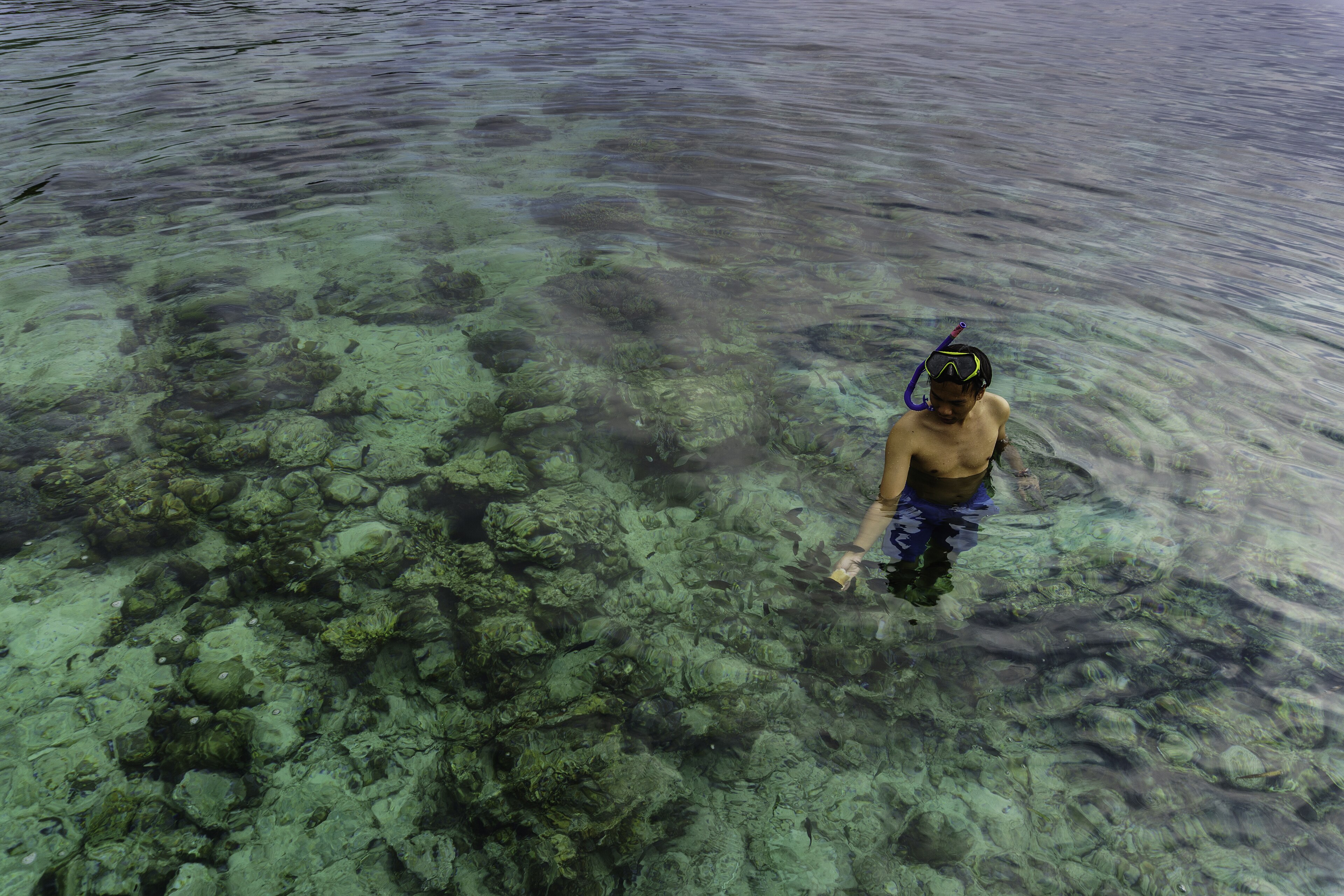 5 Tempat Memancing Favorit di Sulawesi Barat untuk Akhir Pekan, dari Pantai hingga Sungai