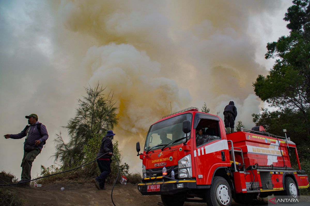 BNPB Catat Luas Kebakaran Gunung Bromo Capai 60 Hektare, Tersebar di Dua Kabupaten