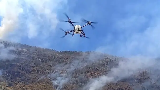 Kebakaran Bromo Meluas hingga 86 Hektare, BPBD Jatim Kerahkan Drone Semprot Busa ke Titik Api