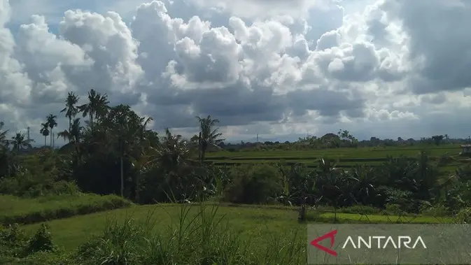 BMKG Ingatkan Potensi Hujan Lebat di Papua Tengah, Sebagian Besar Wilayah Indonesia Berawan