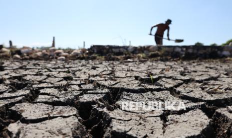 Mentan Amran Pastikan Stok Beras Aman, 30 Ribu Hektare Lahan Kering Terkendali