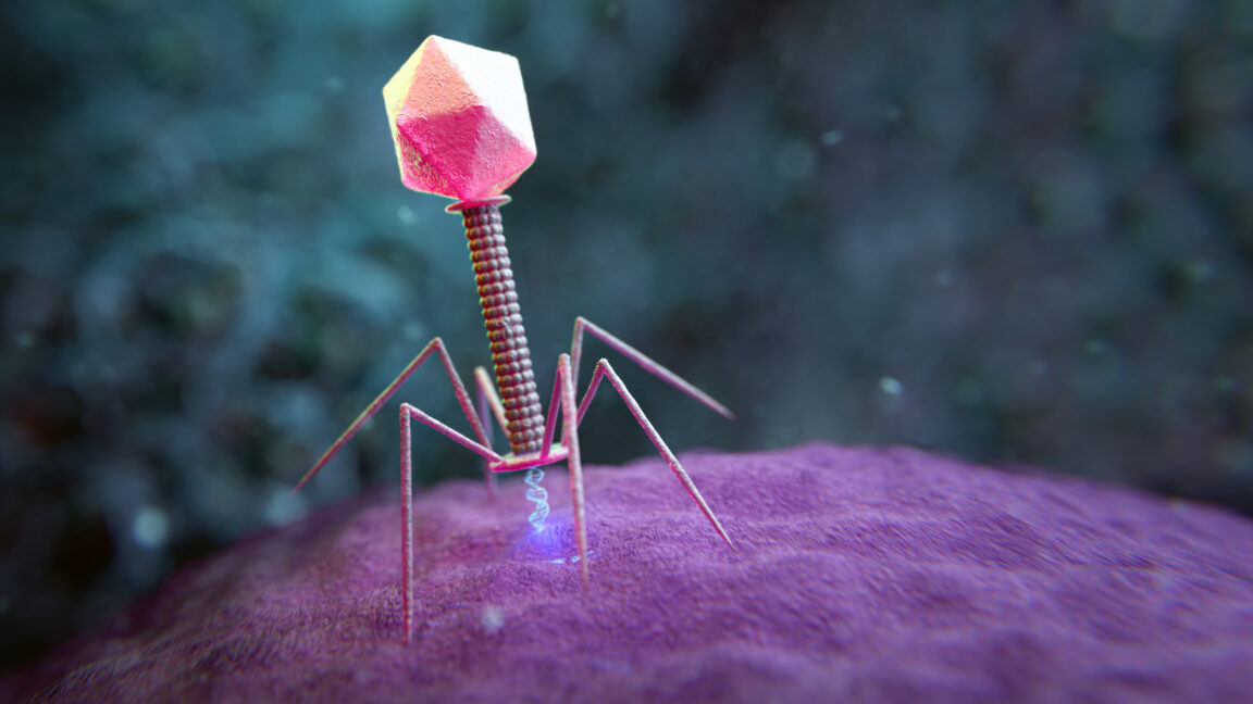 Model AI Raksasa Kini Mampu Merancang Virus Pembunuh Bakteri, Ilmuwan Stanford Beri Peringatan Dini soal Risiko Penyalahgunaan