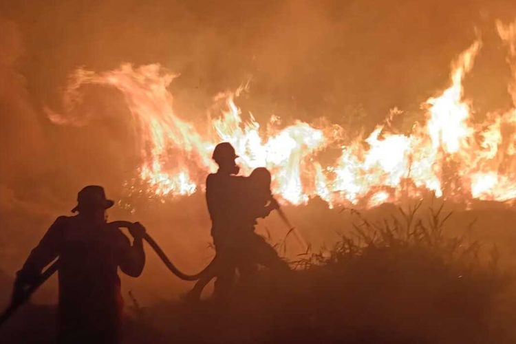 Kanal Air di Ogan Ilir Sumsel Mengering, Petugas Manggala Agni Kesulitan Padamkan Karhutla