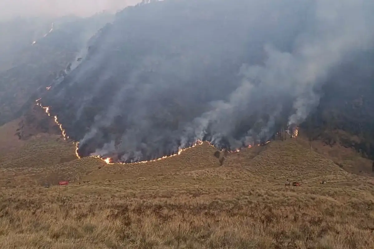 Kebakaran Savana Bromo Capai 80 Hektare, TNBTS Batasi Wisatawan Hingga Lautan Pasir