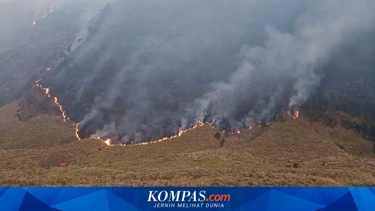 Karhutla Bromo Capai 120 Hektare, Dua Helikopter Water Bombing Dikerahkan