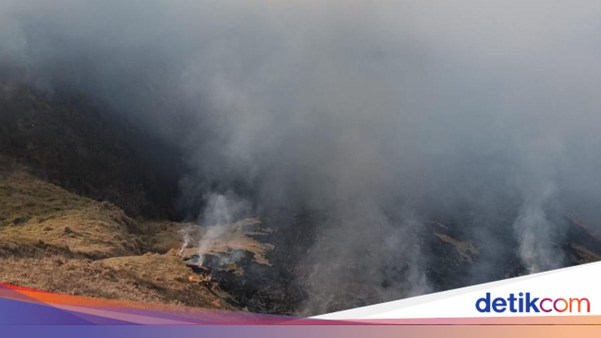 Kebakaran Kaldera Bromo Hari Kelima Capai 120 Hektare, Water Bombing dari Udara Menunggu Angin