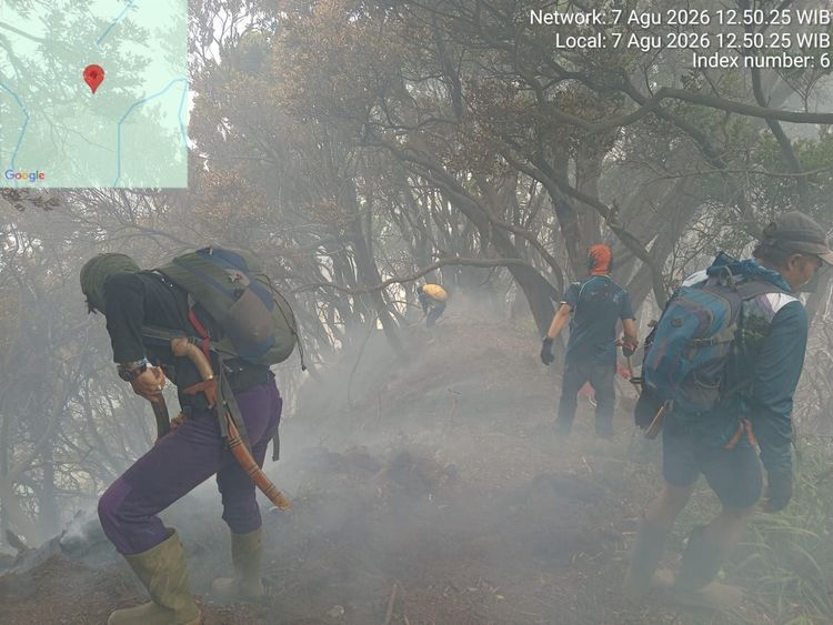 Kemenhut Tutup Seluruh Jalur Pendakian Gunung Gede Pangrango hingga 11 Agustus, Fokus Padamkan Titik Api