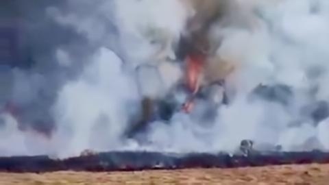 Balai TNGGP Tutup Pendakian Gunung Gede hingga 11 Agustus, Kebakaran Suryakencana Hanguskan Area Seluas Satu Hektar
