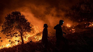 Kebakaran Hutan Gunung Rinjani Hanguskan 30 Hektare, Tim Gabungan Padamkan Api Sabtu Dini Hari