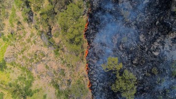Luas Karhutla Bromo Capai 176 Hektare, Balai Taman Nasional Duga Dipicu Perapian Pelintas Jalur