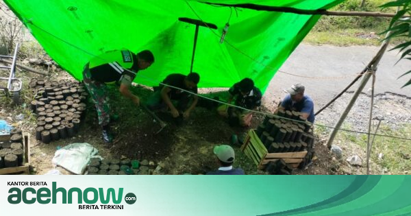 Babinsa Koramil 04/Bintang Sertu Firman Wahyudi Dampingi Petani Siapkan Ribuan Bibit Kopi di Aceh Tengah