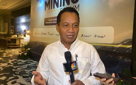 Pemerintah Kaji PLTS Sepanjang Tol Jawa, Target Eksekusi Proyek Dimulai 2027