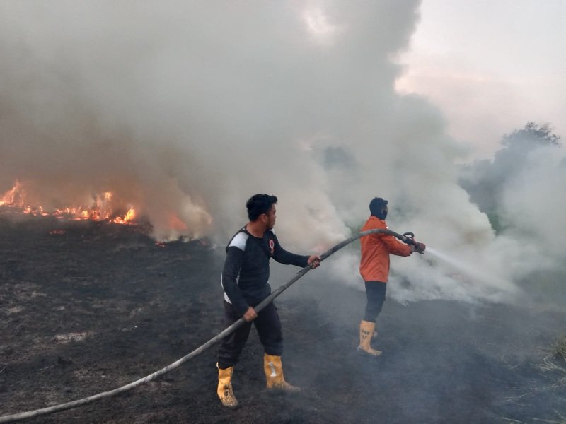 Kebakaran Lahan di Sekayu Musi Banyuasin Hanguskan 3 Hektare Semak di Dua Titik, Petugas Gabungan Turun Tangan
