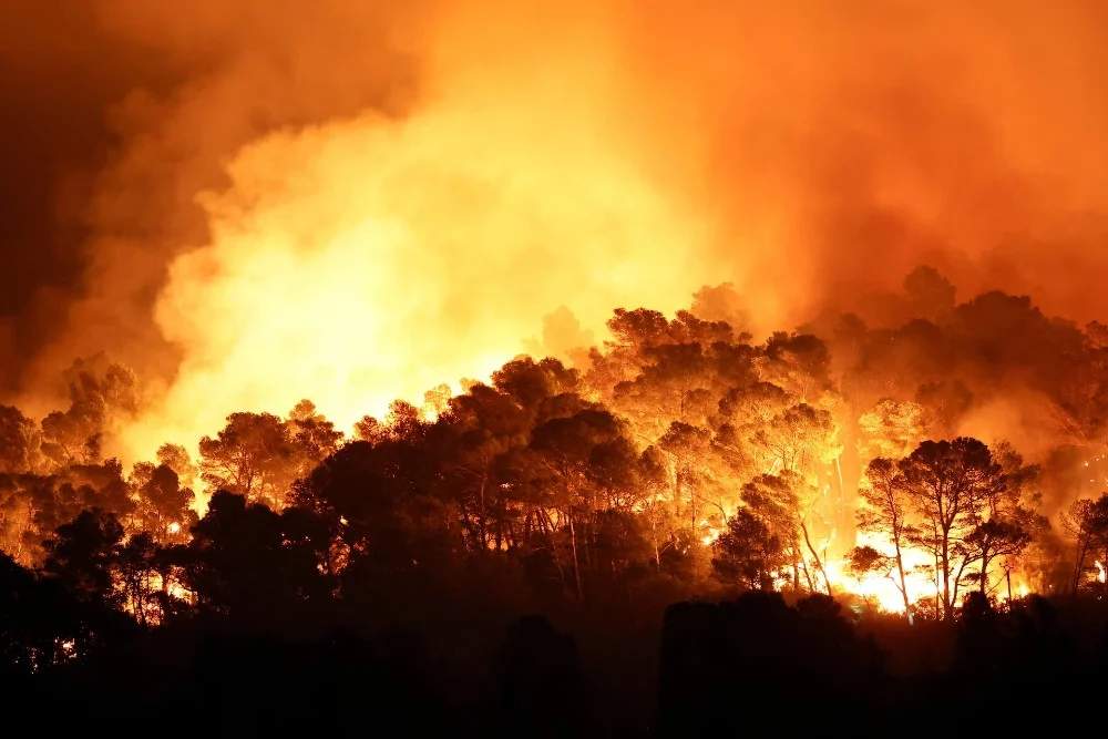 Kebakaran Hutan di Kanada Meluas 50 Km Persegi, 20.000 Warga Mengungsi dari Summerland dan Peachland