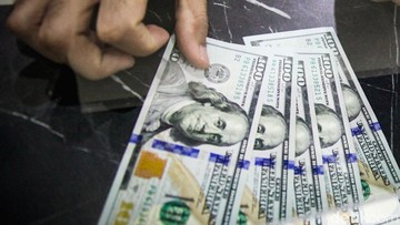 India Raup Rp 116 Triliun dari Jual Saham BUMN, Setor Kas Negara Capai 65% Target Divestasi