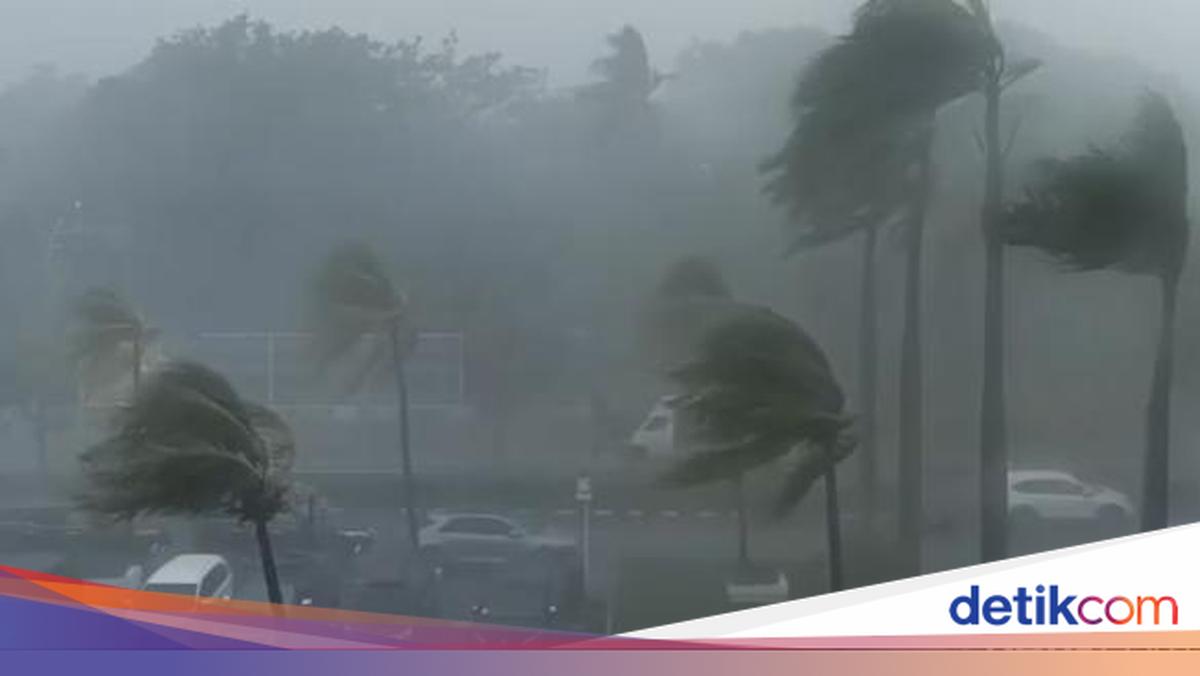 Angin Kencang Diprediksi Terjang Jawa Barat Selasa 11 Agustus 2026, BMKG Imbau Waspada Pohon Tumbang