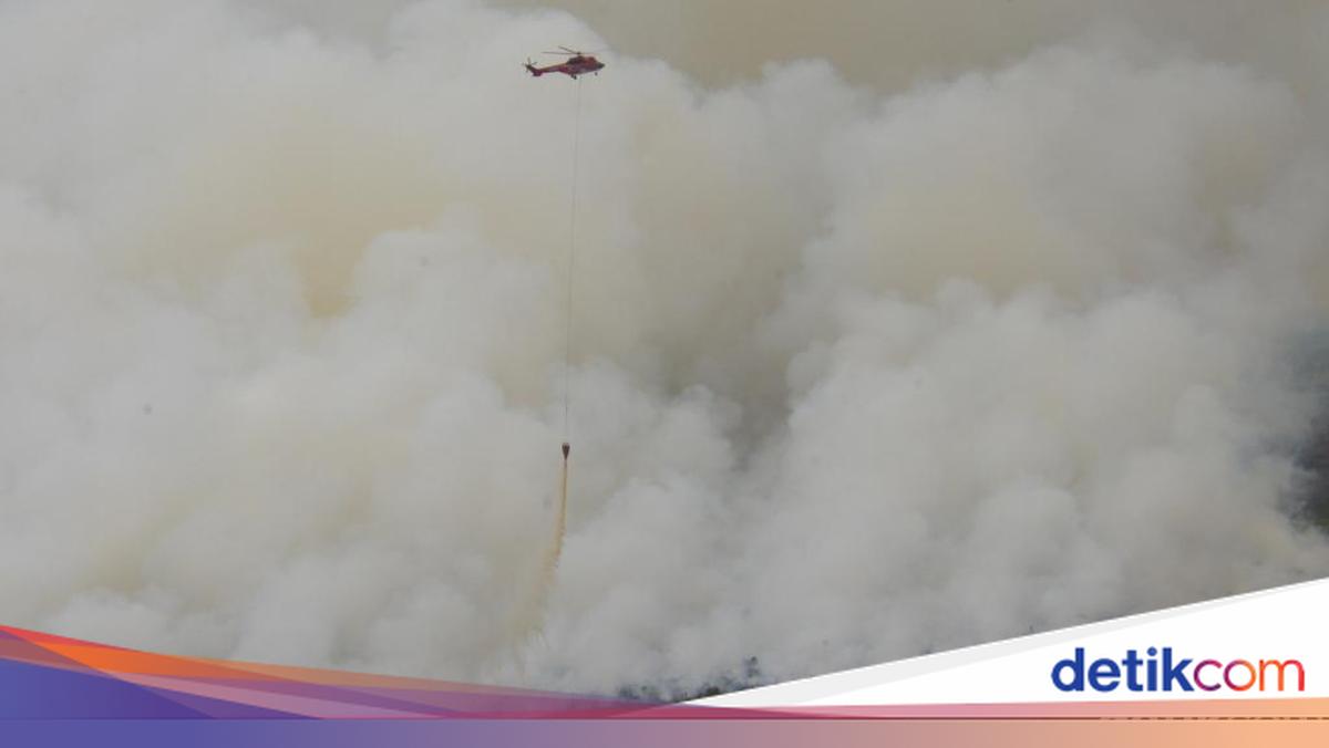 BMKG Hang Nadim Batam Imbau Warga Kepri Waspada Karhutla Saat Curah Hujan Mulai Berkurang