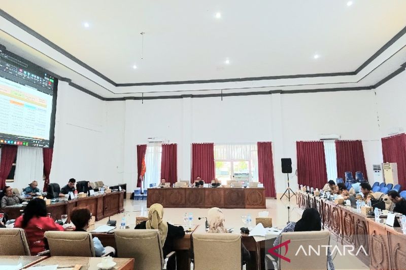 APBD Perubahan Barito Selatan 2026 Dipangkas Rp 250 Miliar, DBH dan PAD Terdampak Efisiensi Pusat