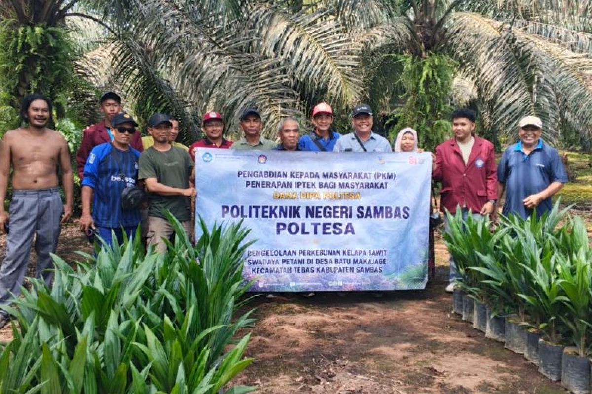 Poltesa Sambas Serahkan 150 Bibit Sawit Unggul ke Petani Tebas, Targetkan Kebun Percontohan Produktif