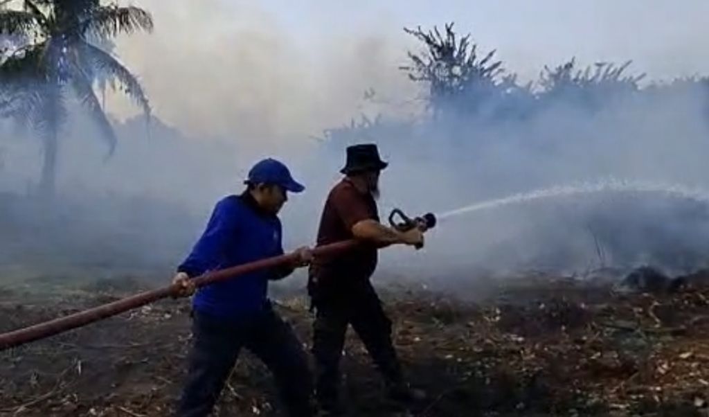 Karhutla di Bangka Capai 300 Hektare, Damkar Kewalahan: 10 Laporan Masuk Setiap Hari dan Anggaran BBM Terbatas