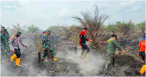 Karhutla di Jambi Capai 137,72 Hektare, Gubernur Al Haris Sebut Titik Api Masih Muncul dari Lahan Gambut
