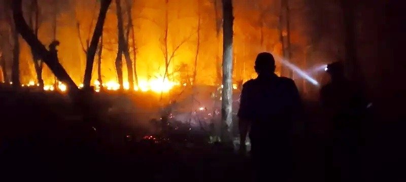 6 Wilayah di Sumbawa Masuk Zona Rawan Karhutla, Damkarmat Siagakan 4 Armada Pemadam