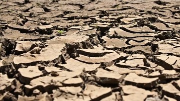 BMKG Catat Juli 2026 Terpanas Sejak 1991, Anomali Suhu Tembus 0,8 Derajat Celsius